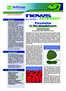 Softcomp_Newsletter_2-2006.qxd[removed]www.eu-softcomp.net