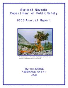 State of Nevada Department of Public Safety 2006 Annual Report The bristlecone pine is the oldest living thing on earth, with some specimens in Nevada now over 4,000 years of age