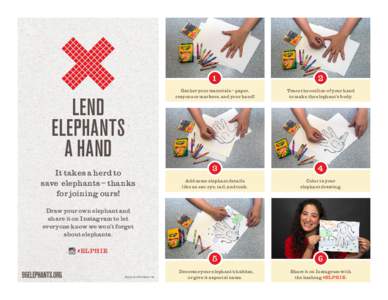 LEND ELEPHANTS A HAND It takes a herd to save elephants – thanks for joining ours!