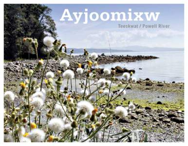 Ayjoomixw  Teeskwat / Powell River In the west we all live next to an Indian reserve...and often our neighbour is not doing well. The issues faced are severe and urgent. Aboriginal communities are