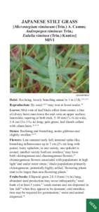 Pollination / Invasive plant species / Microstegium / Chasmogamy / Cleistogamy / Leaf / Botany / Biology / Plant reproduction