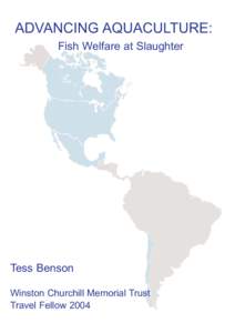 ADVANCING AQUACULTURE: Fish Welfare at Slaughter Tess Benson Winston Churchill Memorial Trust Travel Fellow 2004