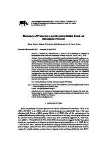 Acerella / Eosentomidae / Abstraction / Acerentomon / Phenology / Antonio Berlese / Acerentulus / Acerentomidae / Protura / Biology / Eosentomon