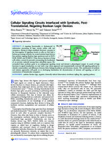 Research Article pubs.acs.org/synthbio Cellular Signaling Circuits Interfaced with Synthetic, PostTranslational, Negating Boolean Logic Devices Shiva Razavi,†,§,⊥ Steven Su,†,§,⊥ and Takanari Inoue*,§,⊥,∥ 