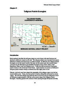 Prairies / Temperate grasslands /  savannas /  and shrublands / Tallgrass prairie / Saline Wetlands Conservation Partnership / Omaha /  Nebraska / Sand Hills / Grassland / Andropogon gerardii / Platte River / Geography of the United States / Nebraska / Flora of the United States