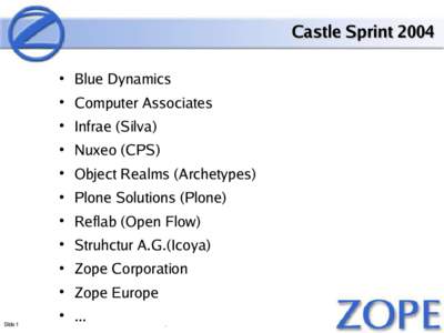 Castle Sprint 2004 • Blue Dynamics • Computer Associates • Infrae (Silva) • Nuxeo (CPS) • Object Realms (Archetypes)