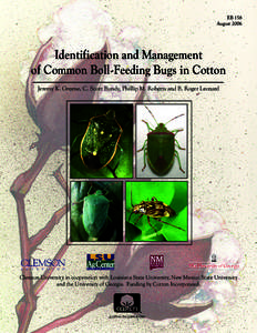 EB 158 August 2006 Identification and Management of Common Boll-Feeding Bugs in Cotton Jeremy K. Greene, C. Scott Bundy, Phillip M. Roberts and B. Roger Leonard