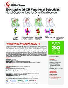 Elucidating GPCR Functional Selectivity: Novel Opportunities for Drug Development Image courtesy of John Allen, PhD, Pfizer