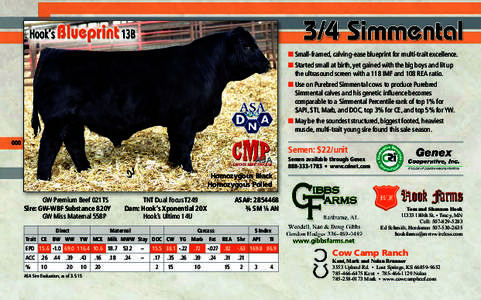 ■ Small-framed, calving-ease blueprint for multi-trait excellence. ■ Started small at birth, yet gained with the big boys and lit up the ultrasound screen with a 118 IMF and 108 REA ratio. ■ Use on Purebred Simment