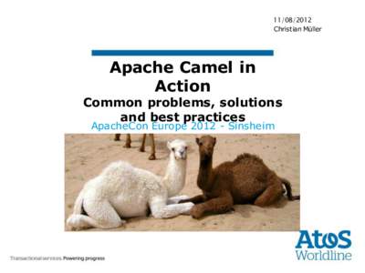 Message-oriented middleware / Java platform / Web services / Apache ActiveMQ / Apache Camel / Apache ServiceMix / Apache CXF / Java / Computing / Enterprise application integration / Java enterprise platform
