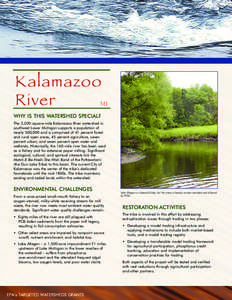 2004 Targeted Watersheds Grants program: Kalamazoo River - Michigan