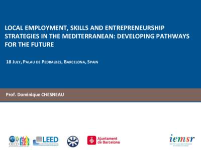 LOCAL EMPLOYMENT, SKILLS AND ENTREPRENEURSHIP STRATEGIES IN THE MEDITERRANEAN: DEVELOPING PATHWAYS FOR THE FUTURE 18 JULY, PALAU DE PEDRALBES, BARCELONA, SPAIN  Prof. Dominique CHESNEAU