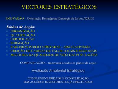 VECTORES ESTRATÉGICOS INOVAÇÃO – Orientação Estratégica: Estratégia de Lisboa/QREN Linhas de Acção: ORGANIZAÇÃO QUALIFICAÇÃO