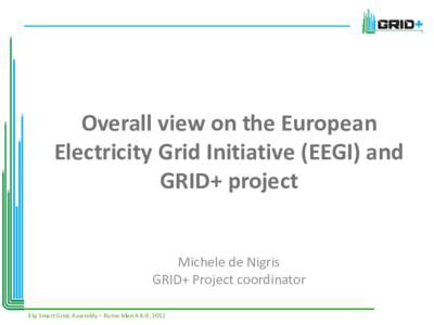 Overall view on the European Electricity Grid Initiative (EEGI) and GRID+ project Michele de Nigris GRID+ Project coordinator