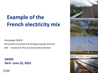 Energy consumption / Energy policy / Energy development / Electricity generation / lectricit de France / Electric energy consumption / Cost of electricity by source / Electricity sector in France