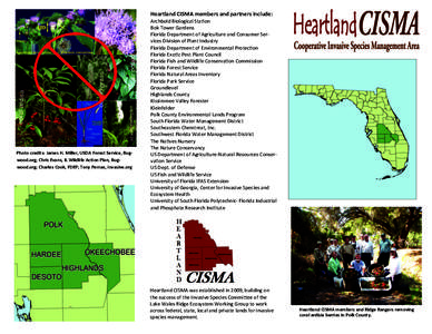 Heartland CISMA members and partners include:   Photo credits: James H. Miller, USDA Forest Service, Bug‐ wood.org; Chris Evans, IL Wildlife Ac on Plan, Bug‐ wood.org; Charles Cook, FDEP; Ton