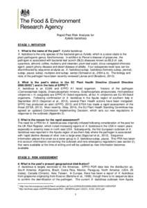 Rapid Pest Risk Analysis for Xylella fastidiosa STAGE 1: INITIATION 1. What is the name of the pest? Xylella fastidiosa. X. fastidiosa is the only species of the bacterial genus Xylella, which is a sister clade to the pl