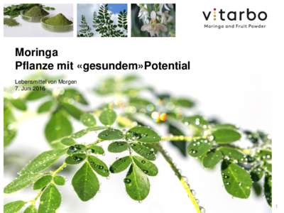 Moringa Pflanze mit «gesundem»Potential Lebensmittel von Morgen 7. Juni