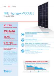 Solar panel / Solar cell / Photovoltaic system / Current–voltage characteristic / Trina Solar / Solar cell efficiency / Photovoltaics / Energy / Technology