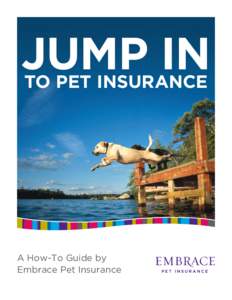 jump in to pet insurance A How-To Guide by Embrace Pet Insurance