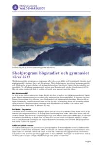 Emil Nolde, Hög, blå sjö, akvarell © Nolde Stiftung Seebüll. Bild beskuren.  Skolprogram högstadiet och gymnasiet Våren 2015 Waldemarsuddes skolprogram anpassas efter elevernas ålder och levandegör konsten med u