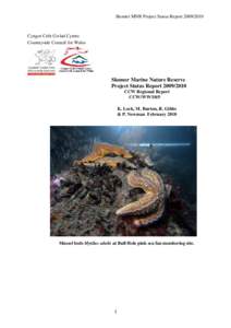 Skomer MNR Project Status ReportCyngor Cefn Gwlad Cymru Countryside Council for Wales  Skomer Marine Nature Reserve