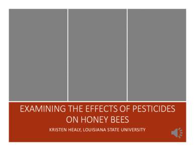 Examining the Effects of Pesticides on Honey Bees