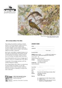 Gladys O’Grady Southern Figbird (sphecotheres viridis) Grafton Regional Gallery Collection 2012 Limited Edition Print Offer The Gallery Foundation is selling a limited edition of 20 pure pigment digital prints on