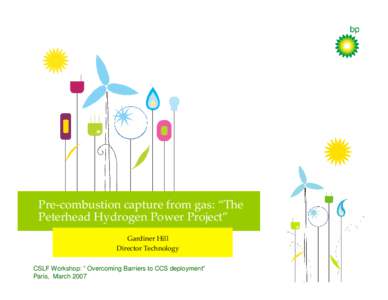 Pre-combustion capture from gas: “The Peterhead Hydrogen Power Project” Gardiner Hill Director Technology CSLF Workshop: ” Overcoming Barriers to CCS deployment” Paris, March 2007