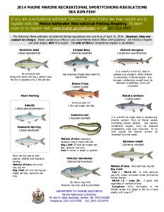 2014 MAINE MARINE RECREATIONAL SPORTFISHING REGULATIONS SEA RUN FISH If you are a recreational saltwater fisherman, a new Maine law may require you to register with the Maine Saltwater Recreational Fishing Registry. To l