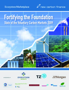 The first State of the Voluntary Carbon Markets report was launched in 2006 with the goal of ‘shining a small light into the black hole’ of information surrounding the voluntary carbon markets