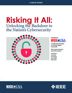 A WHITE PAPER  Risking It All: Unlocking the Backdoor to the Nation’s Cybersecurity