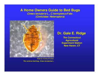 A Home Owners Guide to Bed Bugs Cimex lectularis L., C.hemipterus Fabr. (Cimicidae: Heteroptera) Dr. Gale E. Ridge The Connecticut
