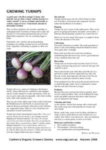 GROWING TURNIPS A quick quiz: who likes turnips? I mean, who honestly can say that a winter without turnips is a winter wasted? A survey of family and friends revealed a range of views - from barely tolerant to downright