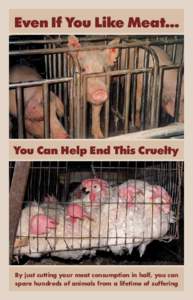 Even If You Like Meat…  You Can Help End This Cruelty By just cutting your meat consumption in half, you can spare hundreds of animals from a lifetime of suffering