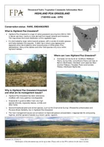 Threatened Native Vegetation Community Information Sheet  HIGHLAND POA GRASSLAND (TASVEG code - GPH)  Conservation status: RARE, ENDANGERED