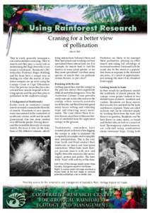 Craning for a better view of pollination March 2003 They’re small, generally inconspicuous and sometimes annoying. They’re insects and they play a crucial role in