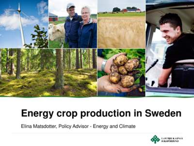 Energy crop production in Sweden Elina Matsdotter, Policy Advisor - Energy and Climate The energy mix in Sweden  Sid 2 | Lantbrukarnas Riksförbund