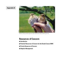 Ecology / Palm Warbler / National Wildlife Refuge / Cape May Warbler / Prairie Warbler / Rachel Carson / Seaside Sparrow / Endangered species / Endangered Species Act / Dendroica / Conservation / Environment