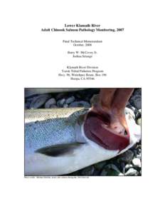 Lower Klamath River Adult Chinook Salmon Pathology Monitoring, 2007 Final Technical Memorandum October, 2008 Barry W. McCovey Jr. Joshua Strange