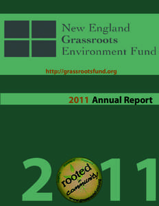 http://grassrootsfund.org[removed]Annual Report 2 11