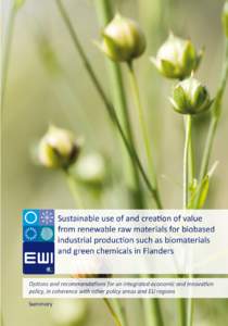 Sustainable use of and creation of value from renewable raw materials for biobased industrial production such as biomaterials and green chemicals in Flanders Options and recommendations for an integrated economic and in