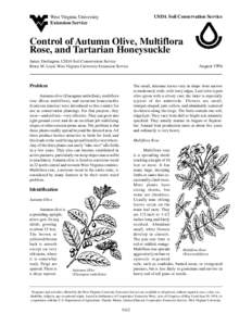 USDA Soil Conservation Service  West Virginia University Extension Service  Control of Autumn Olive, Multiflora