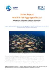 Status Report World’s Fish Aggregations 2014 Martin W Russell1, Yvonne Sadovy de Mitcheson2, Brad E Erisman3, Richard J Hamilton4, Brian E Luckhurst5, Richard S Nemeth6  Report by Science and Conservation of Fish Aggre