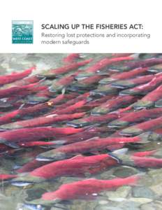 SCALING UP THE FISHERIES ACT: Restoring lost protections and incorporating modern safeguards WATERSHED WATCH SALMON SOCIETY