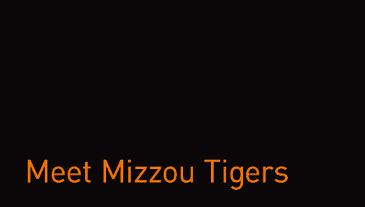 Meet Mizzou Tigers  Located in the heart of the Midwest, the MU College of Agriculture, Food and Natural Resources is unique; a surprising collection of academic programs merging personalized