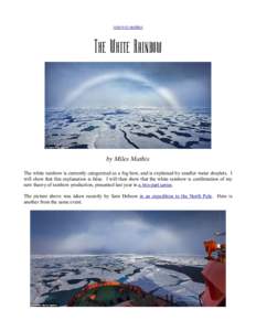 return to updates  The White Rainbow by Miles Mathis The white rainbow is currently categorized as a fog bow, and is explained by smaller water droplets. I