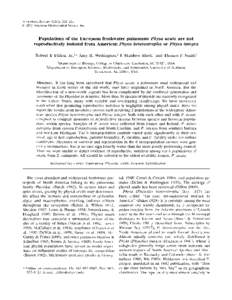 lnvertebratc Biology 121(3): American Microscopical Society, Inc. Populations of the European freshwater pulmonate Physa acuta are not reproductively isolated from American Physa heterostropha or Physa in