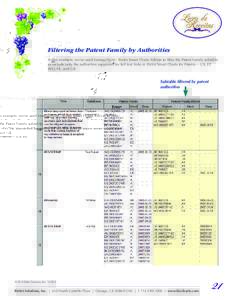 Filtering the Patent Family by Authorities In this example, we’ve used VantagePoint - BizInt Smart Charts Edition to filter the Patent Family subtable to include only the authorities supported for full text links in Bi