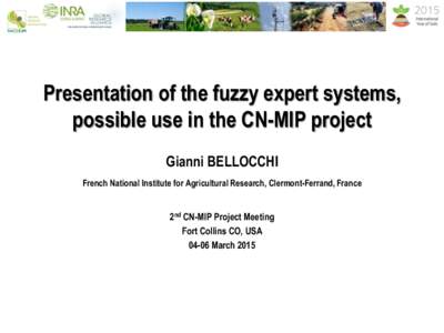 Presentation of the fuzzy expert systems, possible use in the CN-MIP project Gianni BELLOCCHI French National Institute for Agricultural Research, Clermont-Ferrand, France  2nd CN-MIP Project Meeting